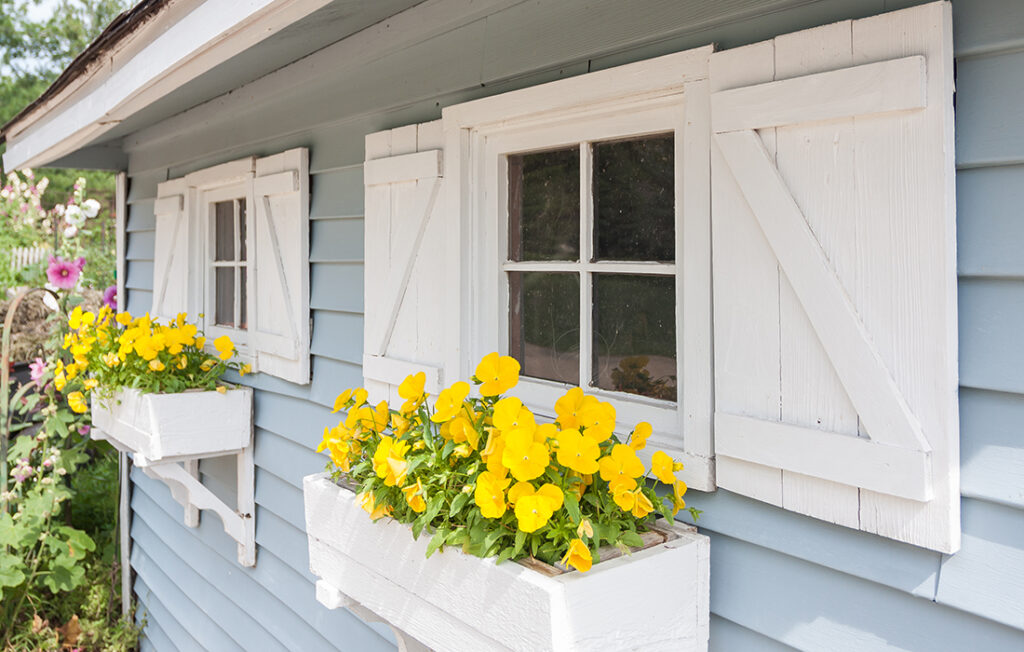 Pretty painted shed with window boxes Pic: Shutterstock