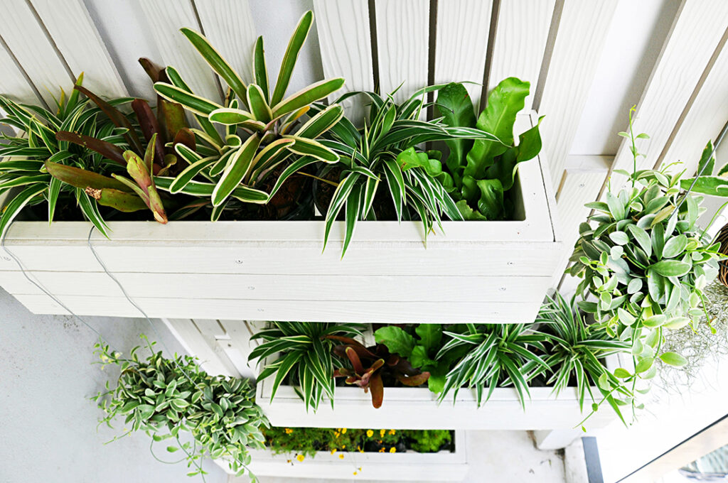Vertical garden with crates on a wall Pic: Shutterstock