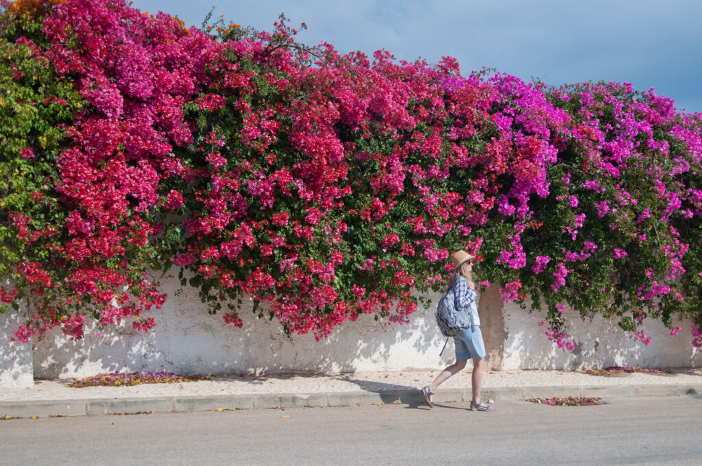 Tourist happy young woman walking in Portugal city Luz, Algarve near amazing flower wall in october; 