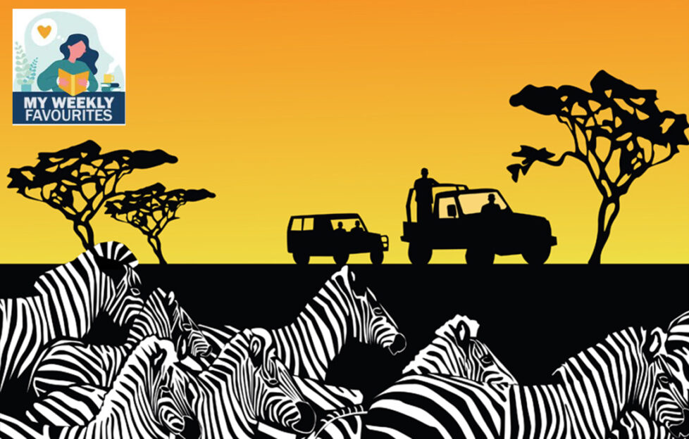 Tourists at sunrise on safari Illustration: Shutterstock