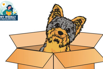 Illustration of Yorkshire terrier puppy looking curious, sitting in a cardboard box