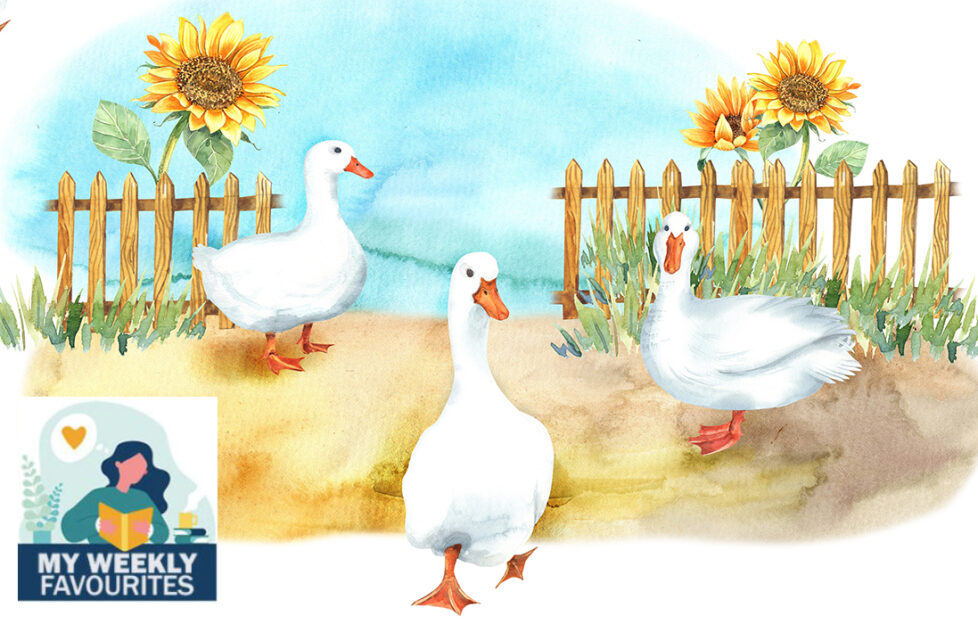 Ducks in a garden Illustration: Shutterstock