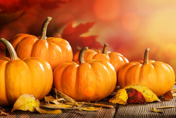 A selection of pumpkins Pic: Shutterstock