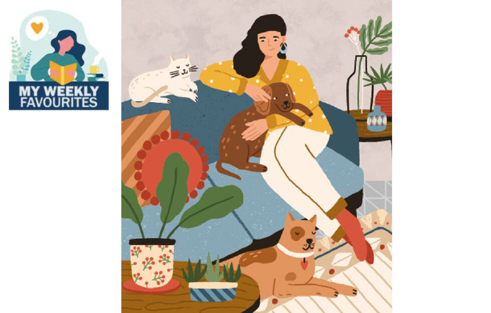 Lady on sofa with dogs Illustration: Shutterstock