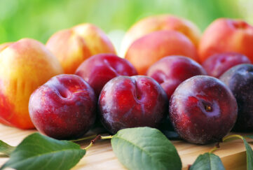 Plums and peaches Pic: Shutterstock