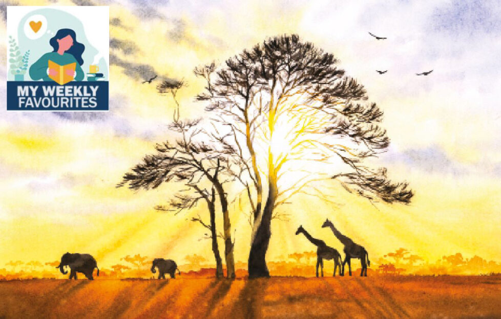 Sunrise and safari animals Illustration: Shutterstock
