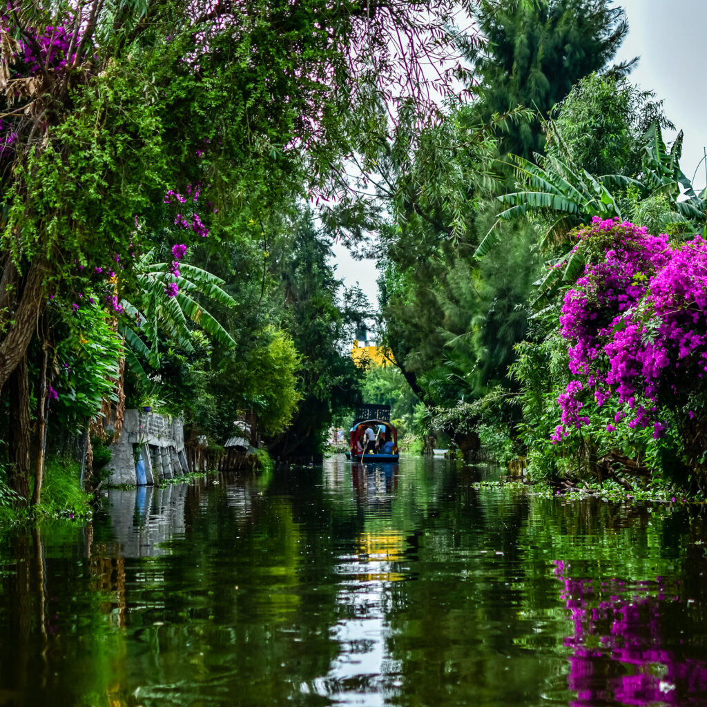 Floating Gardens of Xochimilco, Mexico