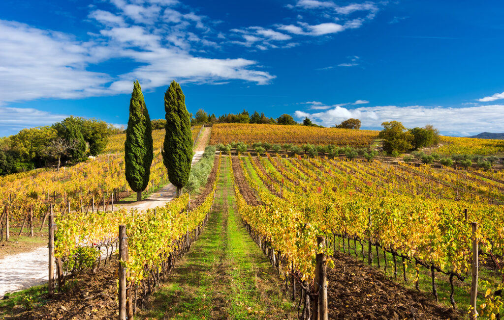Near Greve in Tuscany Pic: Shutterstock