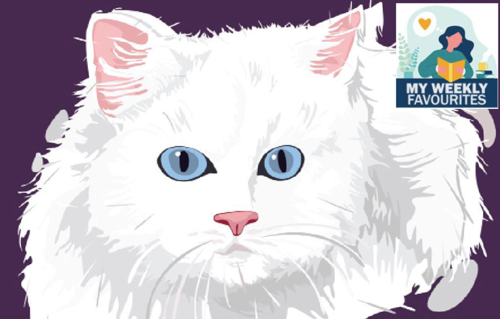 White persian cat Illustration: Shutterstock