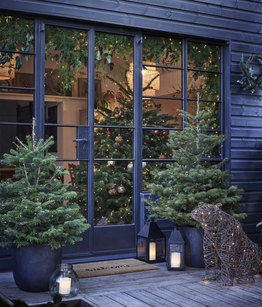 Indoor and outdoor real trees