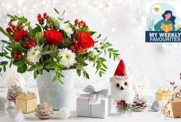 Christmas flowers in a vase Pic: Shutterstock