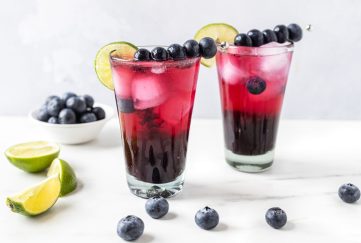 Blueberry Kombucha Fizz Cocktail