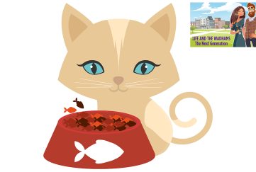 Brown cat eating from a bowl