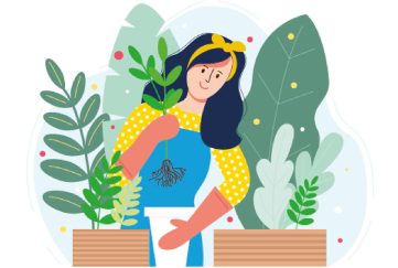An illustration of a lady potting some plants