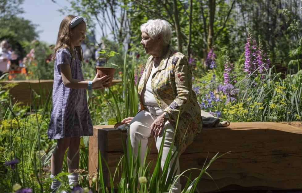 Dame Judi Dench is presented with the baby Sycamore Gap tree by schoolgirl, Charlotte.