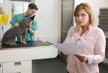 All vet prescription fees could be potentially capped. Image shows woman holding vet bill looking very stressed about what it says. In the background a male vet is checking her pet dog on the medical table.