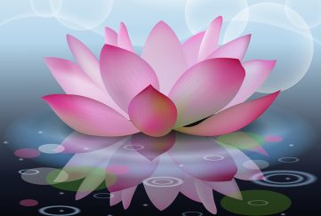 Abstract background with lotus, lotus flower on water.