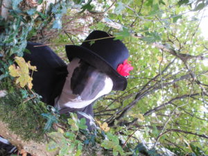 There were fun frights galore in the woods. NO F45 plockton shock night 02