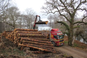 Timber extraction is now underway at Loch Arkaig. Photograph: Jessica Maxwell/WTML. NO F52 Arkaig commando 05